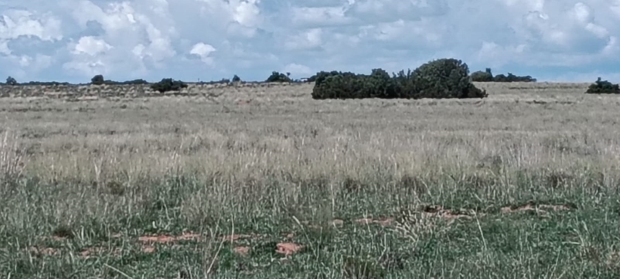 3 Bedroom Property for Sale in Bloemfontein Rural Free State